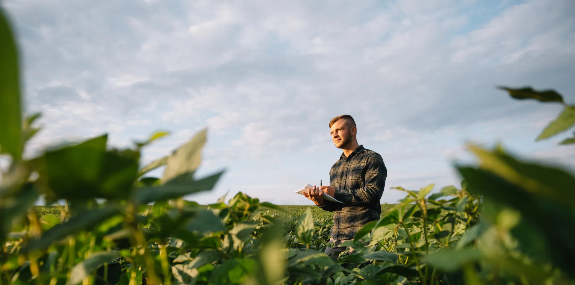 Mitarbeiter von BioAktiv im Feld bei der Pflanzenkontrolle als Symbol für praxisnahe Beratung und Landwirtschaft
