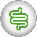 Healthy intestinal flora