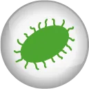 Aktiviert den aeroben Prozess