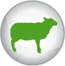 Calm and balanced animals