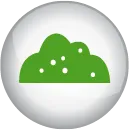 Fördert die Humusbildung