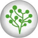 Greater stress tolerance