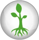 Improved nutrient uptake