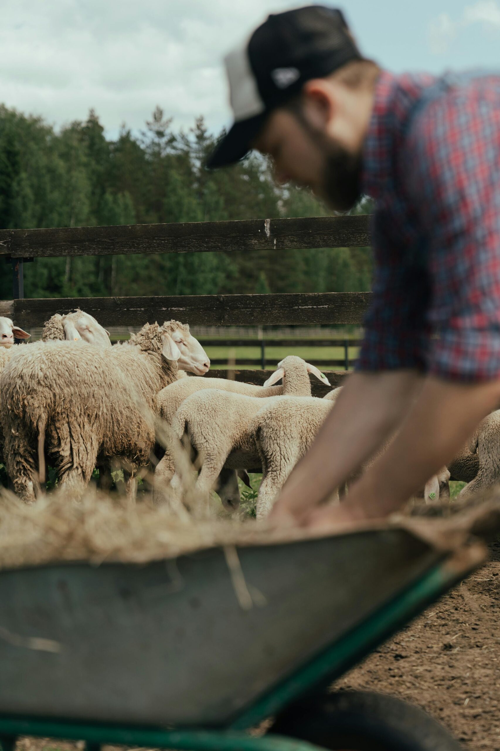 BioAktiv Beratung für Tierhaltung