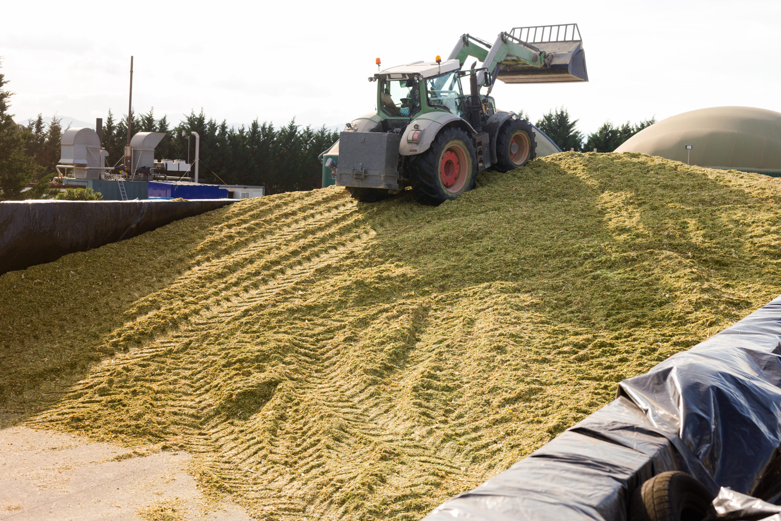 BioAktiv Produkte für Silage
